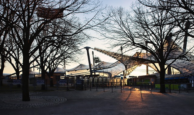 在分析中 在分析中