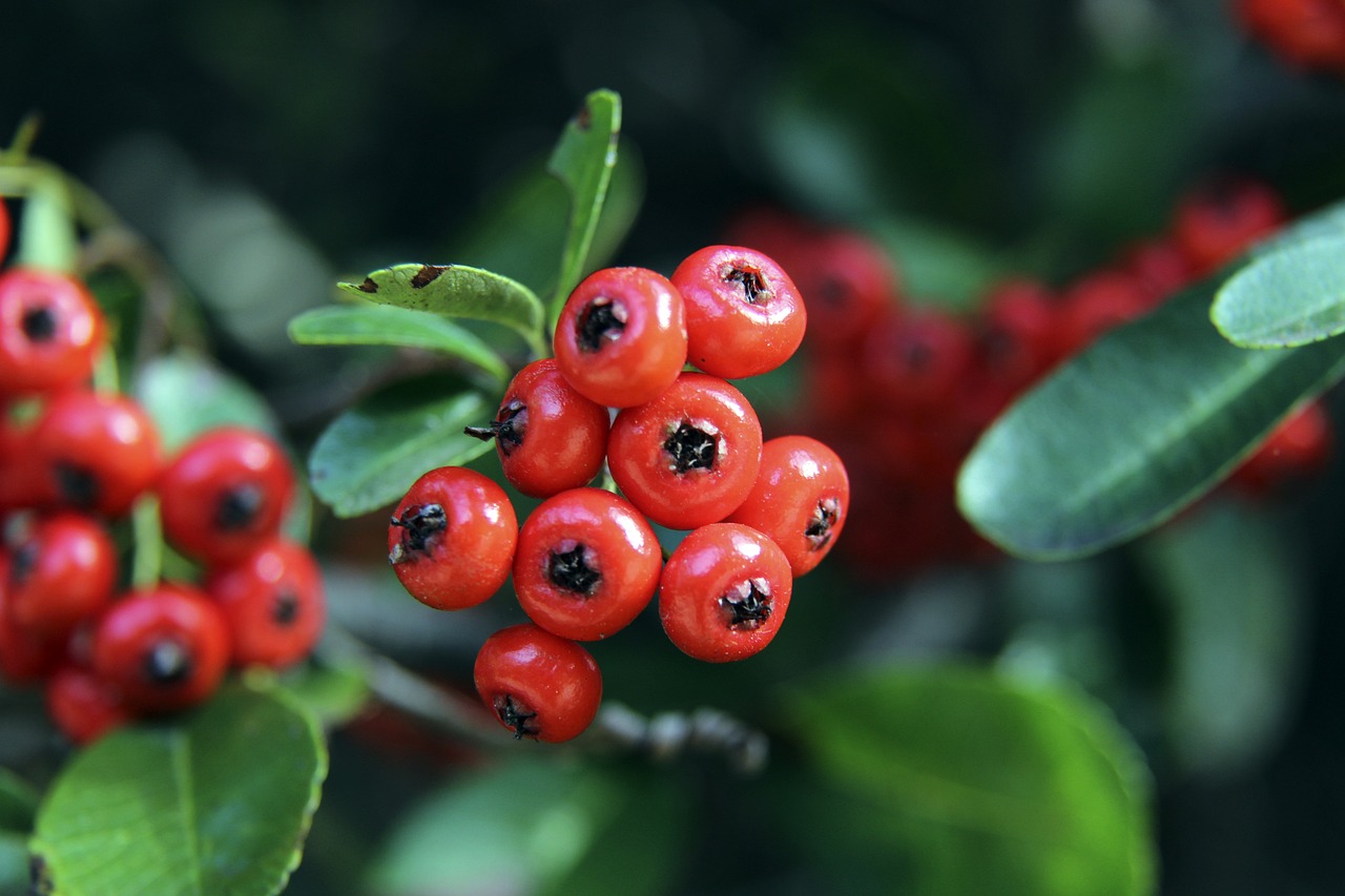 进攻上的无 进攻上的无