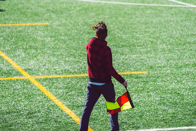 区原已纳入 区原已纳入