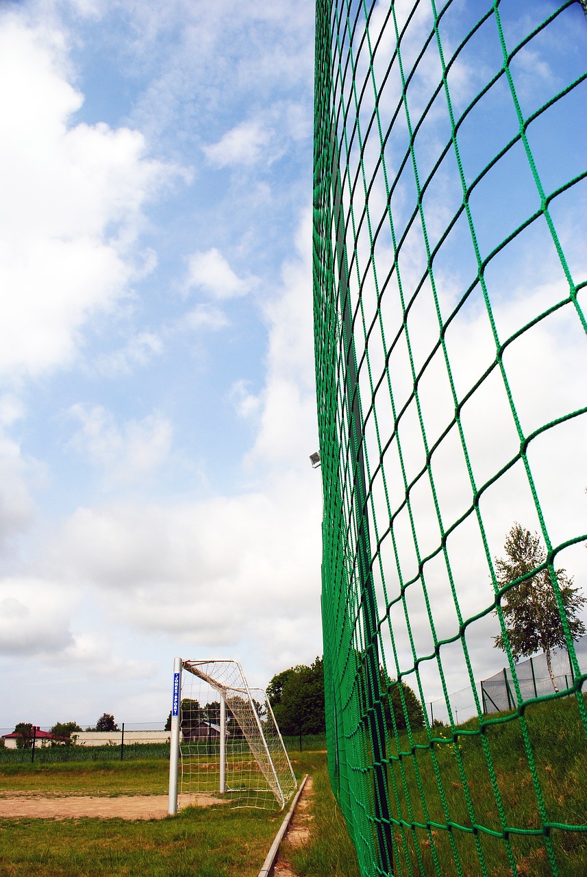 爱好者的关 爱好者的关